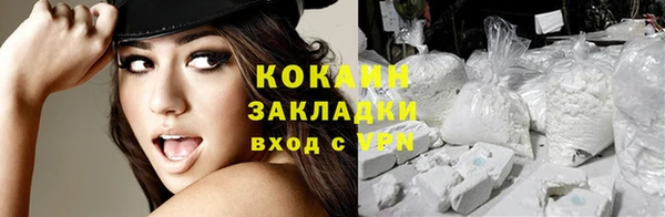 индика Ростов