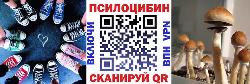 купить   Кедровый  блэк спрут онион  Галлюциногенные грибы MAGIC MUSHROOMS 